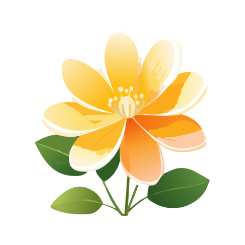 Flower png photos