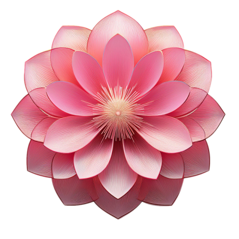 Pink flower png hd