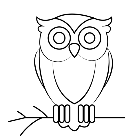 Owl Png  Outline image