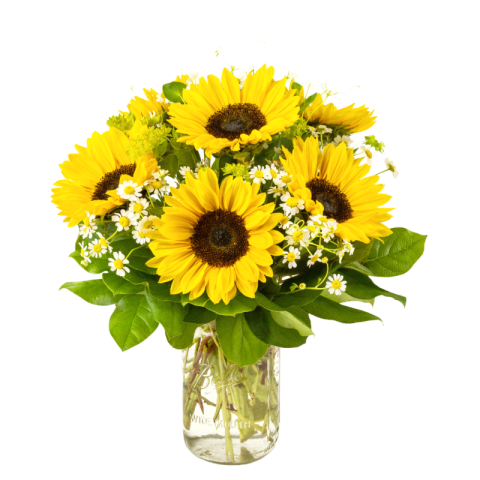 Sunflower png bouquet