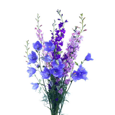 Flowers bouquet png