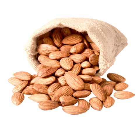 Almond png