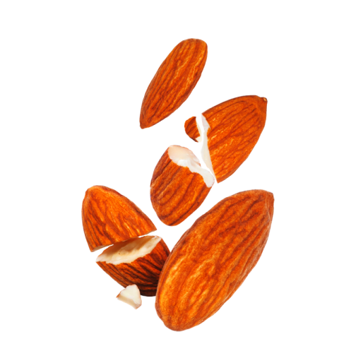 Almond png images