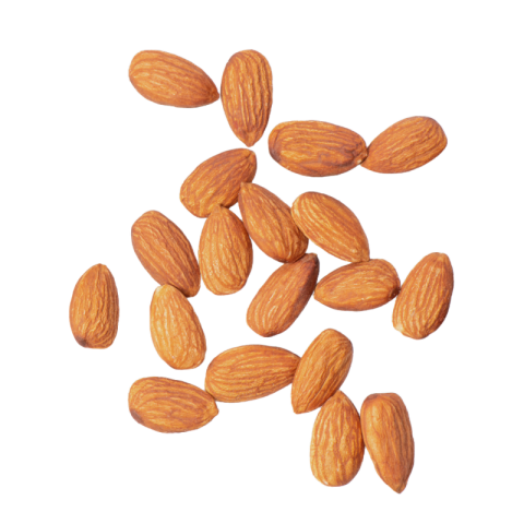 Almond png hd