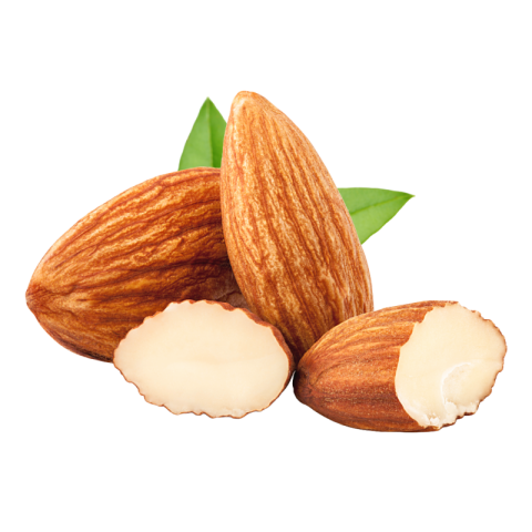 Broken almond png