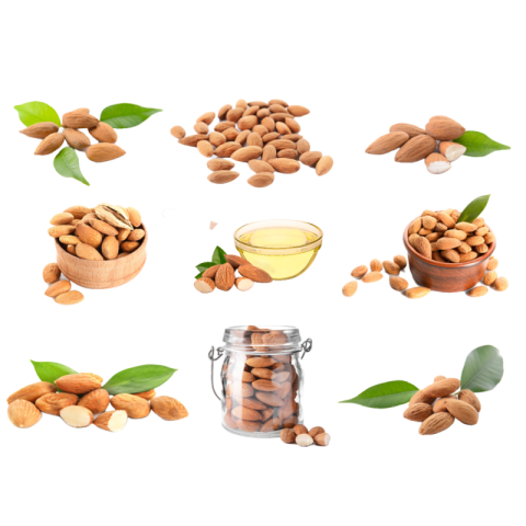 Almond png images