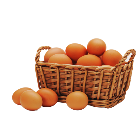 Egg image png transparent