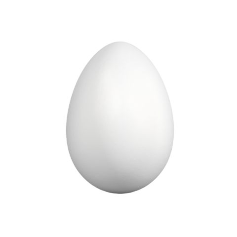 White egg png transparent