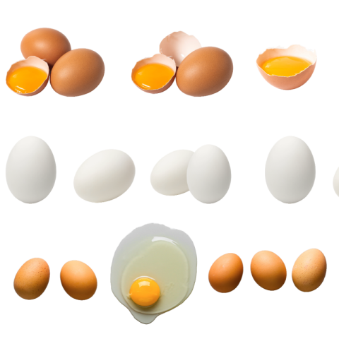 Egg png image