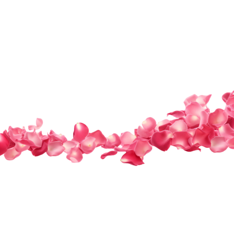 Rose petals png hd