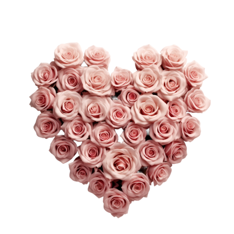 Rose heart png