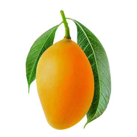 Mango png