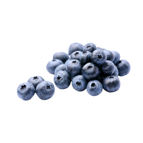 Blueberry png transparent