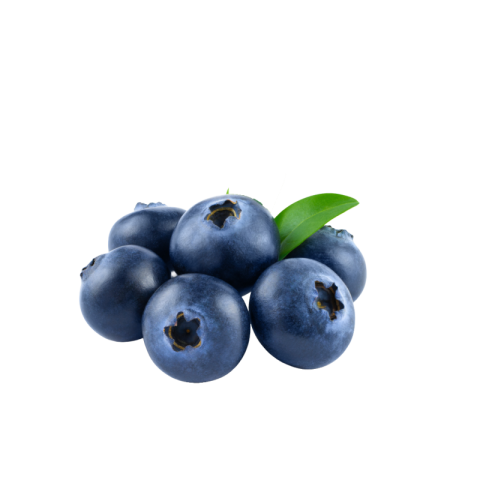 Blueberry png transparent background