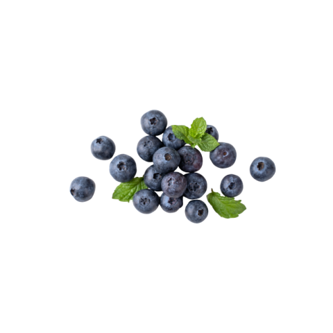 Blueberry png no background