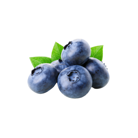 Blueberry png images