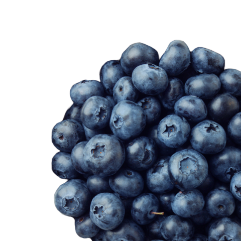 Blueberry images hd