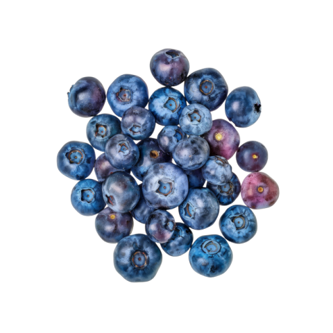 Blueberry png free