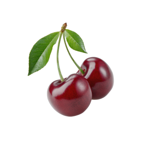 Cherry png no background