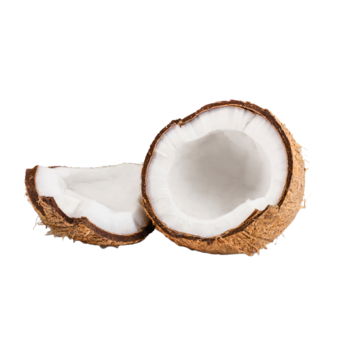 Coconut png image
