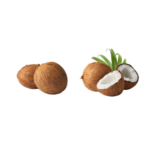 Coconut png transparent