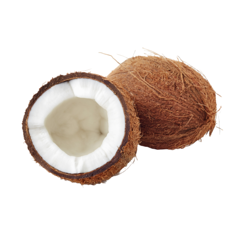 Coconut png transparent background