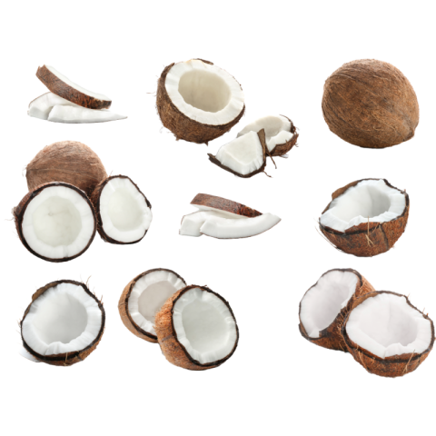 Transparent coconut png