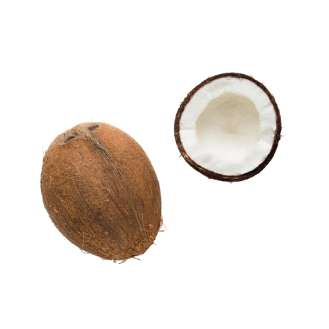 Coconut png hd