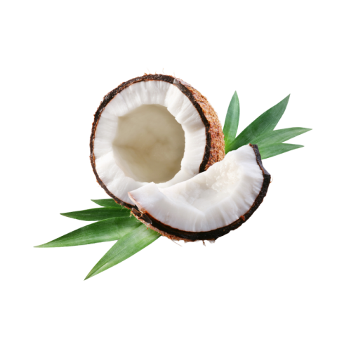 Coconut png free download