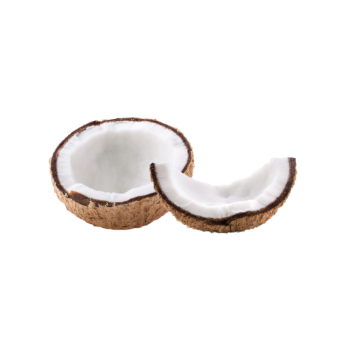 Coconut png no background