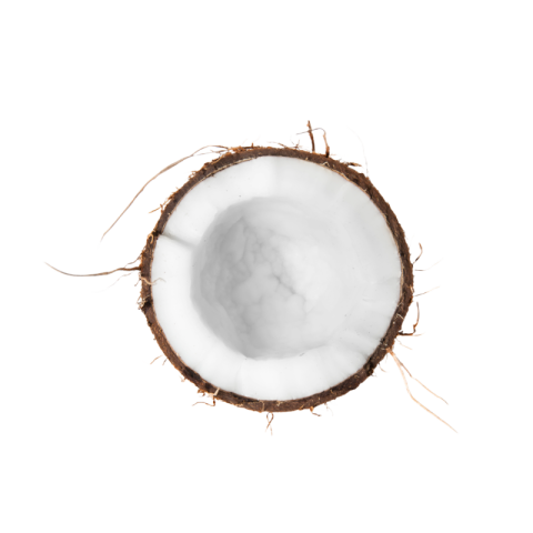 Coconut PNG background