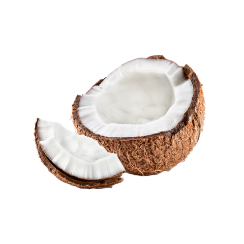 Coconut png no background free