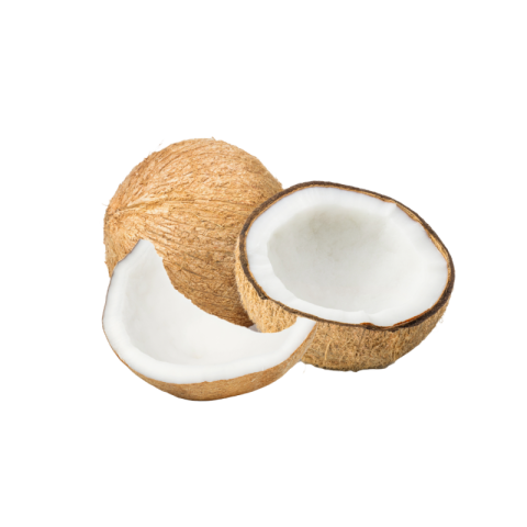 Coconut png no background free download