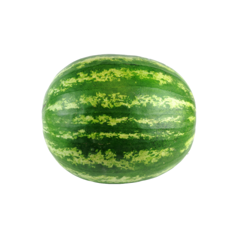 Watermelon png