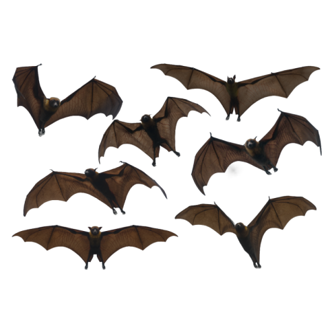 Bat png image hd download