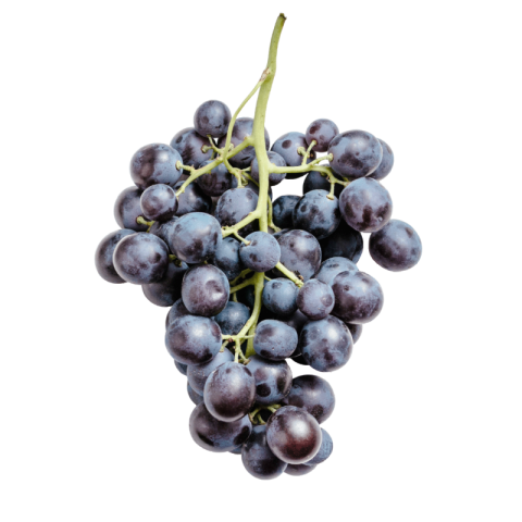 Black grapes png transparent