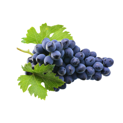 Black grapes png transparent free