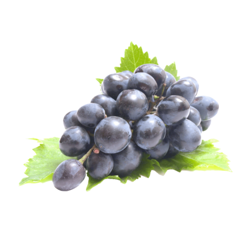 Black grapes png transparent background