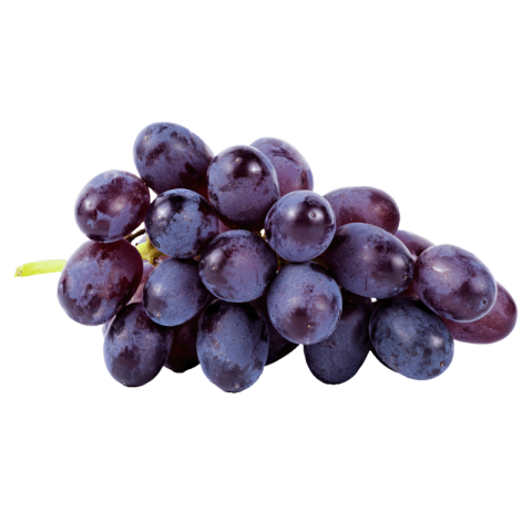 Purple black grapes png transparent free