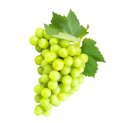 Green grapes png transparent