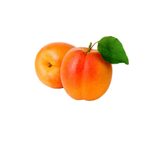 Apricot png images