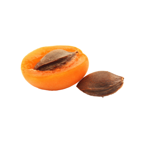 Yellow apricot png transparent