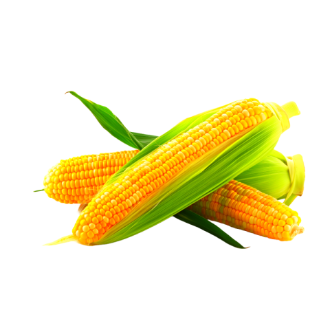 Sweet corn png