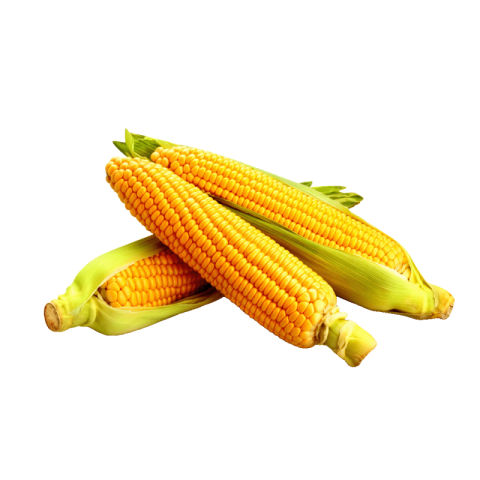 Sweet corn png transparent