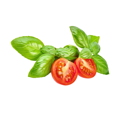 Basil png transparent background free