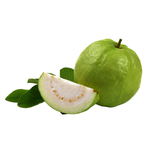 Guava png background