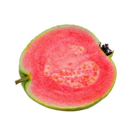 Guava png download