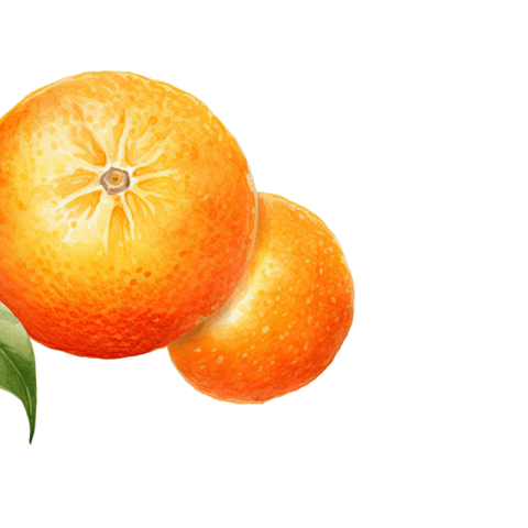 Mandarin PNG transparent image download