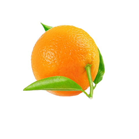 Mandarin png transparent