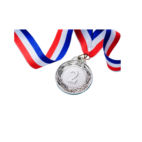 Silver plated medal png download